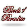 CaÃ§a-nÃ­queis Birds of Paradise