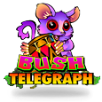 Bush Telegraph to polska nazwa dla kasyna - "Telegraf PuszczaÅ„ski".