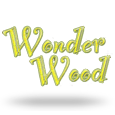 Wunderholz logo