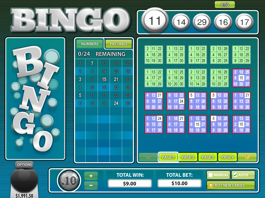 30 Ball Bingo Screenshot