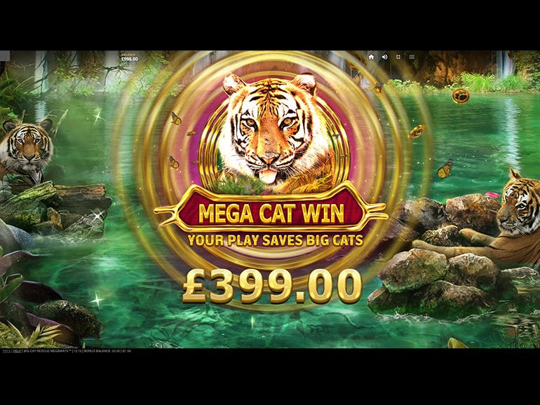 Big Cats Rescue MegaWays (Grande Caccia ai Gatti MegaWays) Schermata