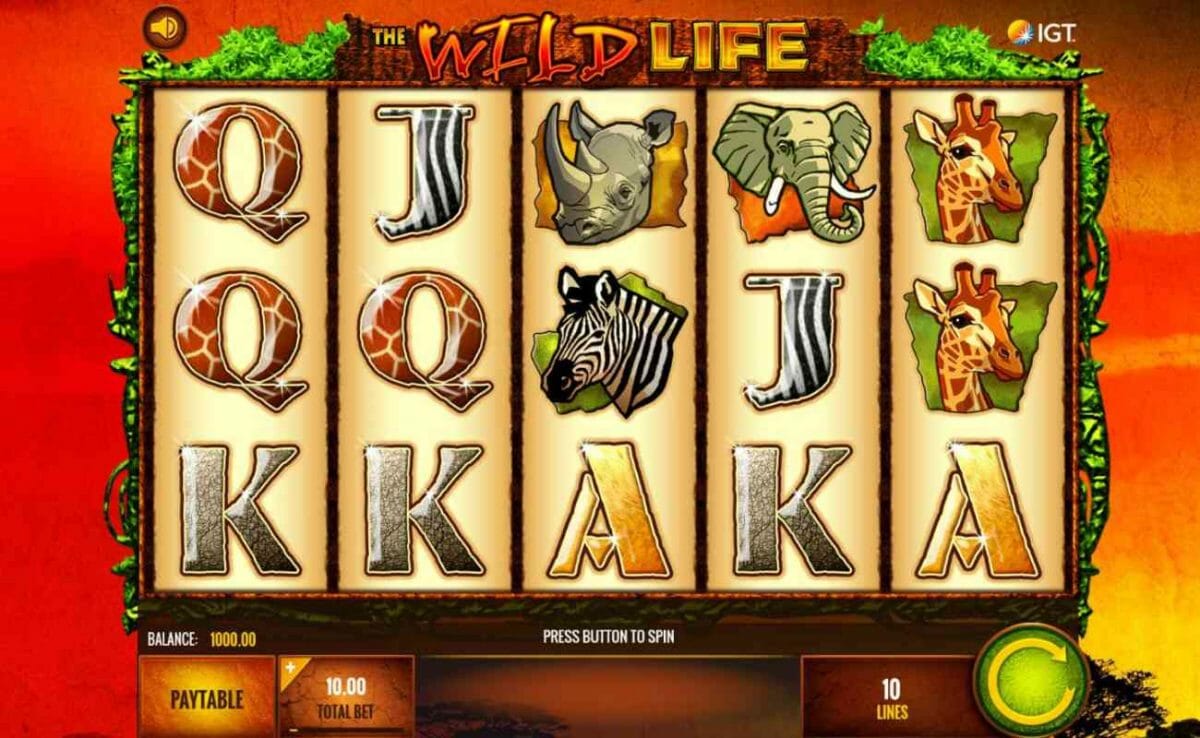 Bushveld Slots es un sitio web dedicado a los casinos. Captura de pantalla