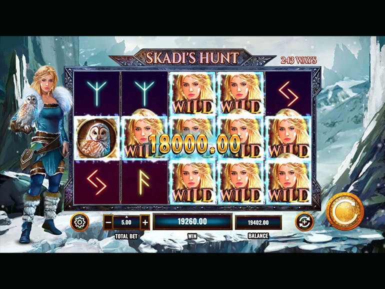 Code 243.0 Spielautomat Screenshot