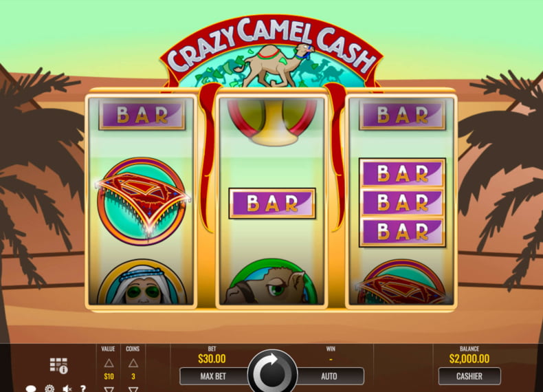 Crazy Camel Cash Spilleautomat Skjermbilde
