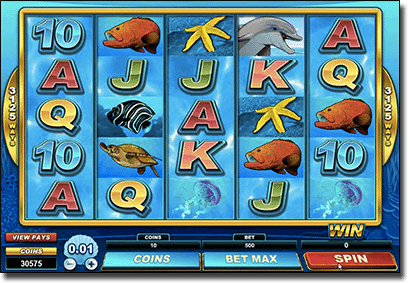 Dolphin Quest Spielautomat Screenshot