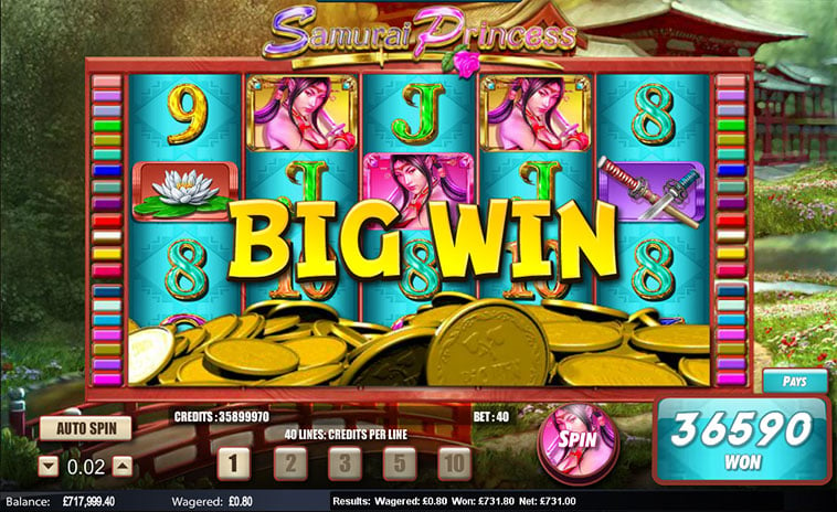 Samurai Prinzessin Spielautomaten Screenshot