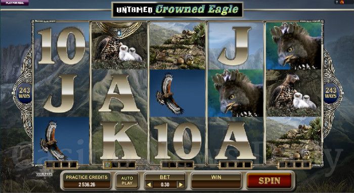 Untamed Crowned Eagle se trata de una pÃ¡gina web sobre casinos. Captura de pantalla