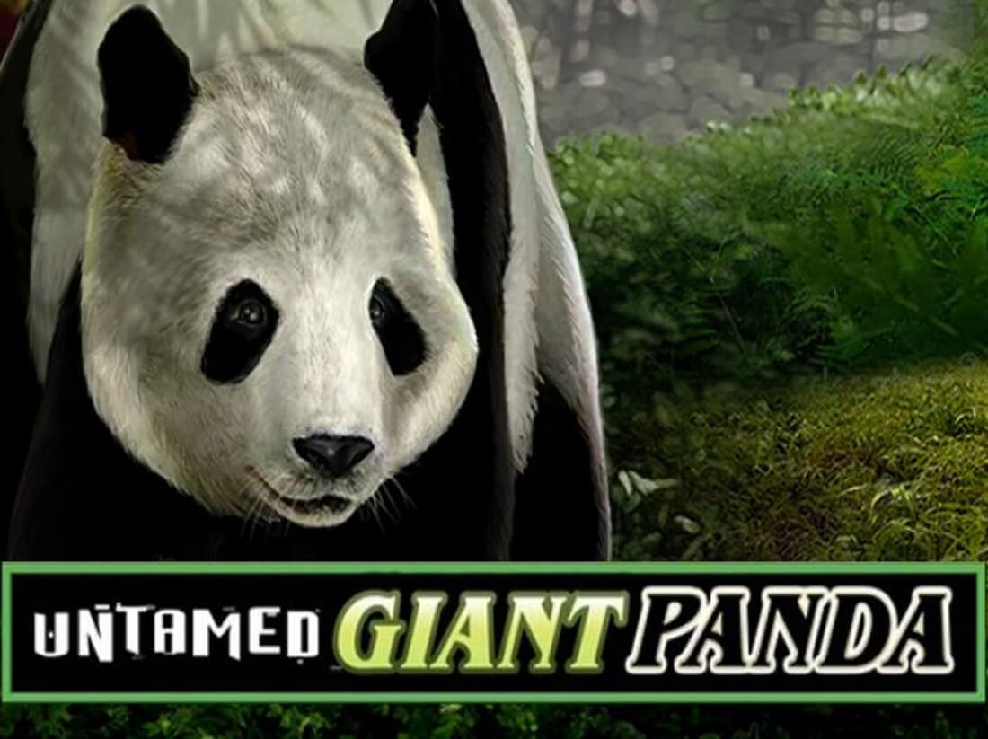 Untamed Giant Panda Gokkasten Screenshot