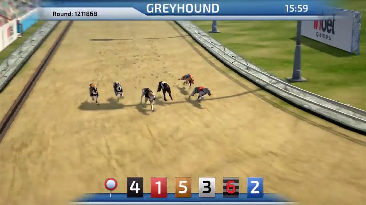 Virtuele Greyhound Racing Screenshot