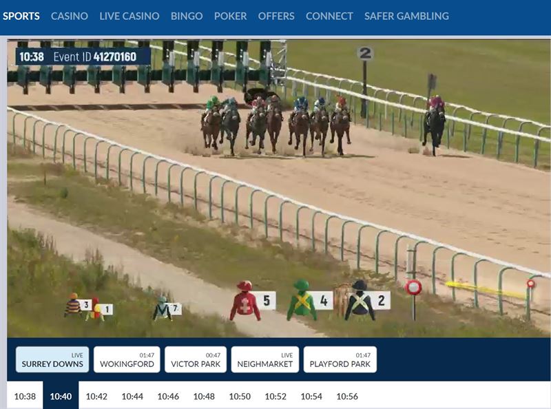 Virtual Horses Screenshot
