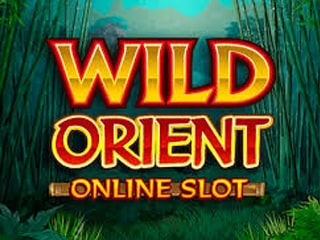 Wild Orient es un sitio web sobre casinos. Captura de pantalla